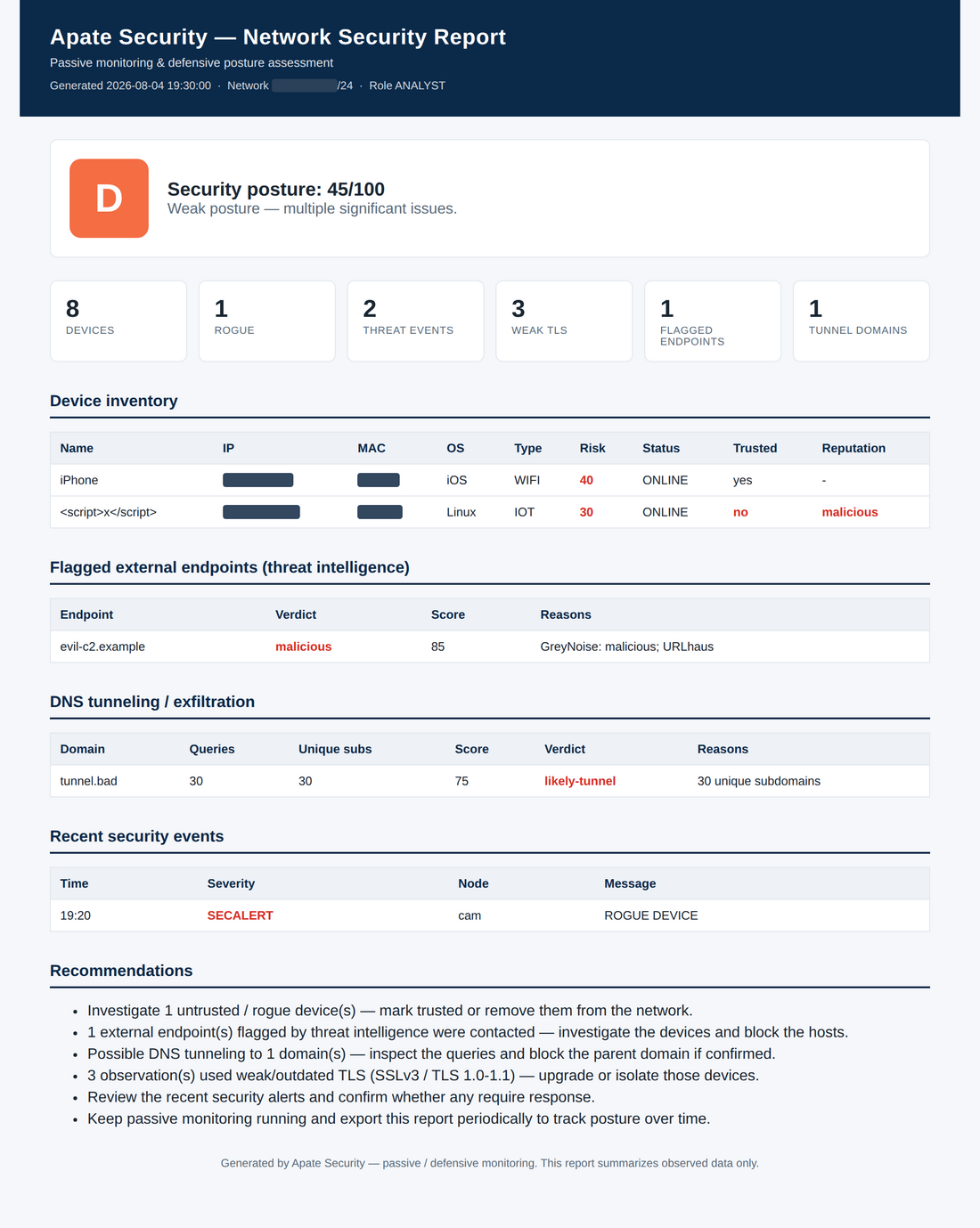 Apate Security network security report